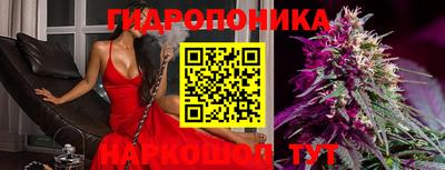 альфа пвп Владивосток