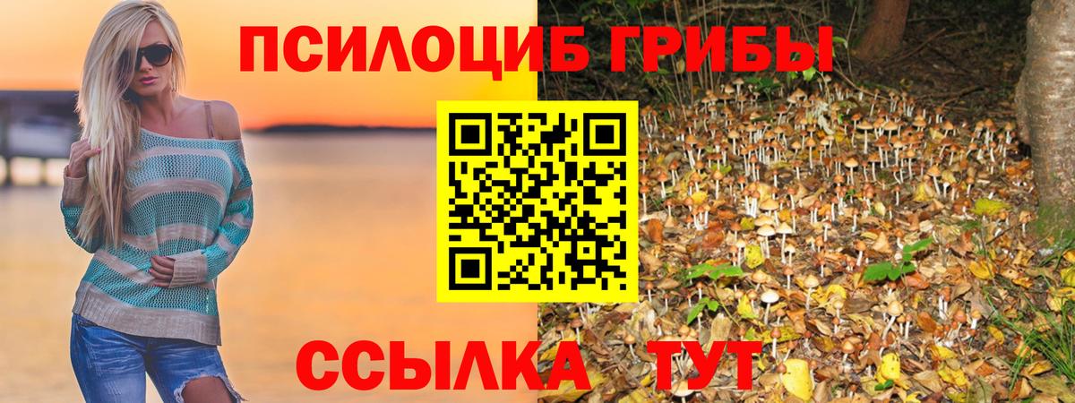 Галлюциногенные грибы Cubensis Борисоглебск