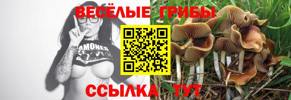 Псилоцибиновые грибы Magic Shrooms  Вход с VPN  Борисоглебск  Галлюциногенные грибы MAGIC MUSHROOMS 