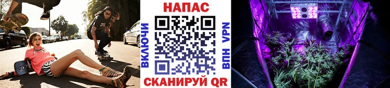 Шишки марихуана Bruce Banner  Борисоглебск 